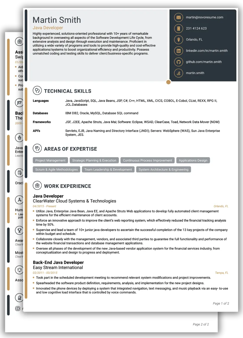 Professional CV Template
