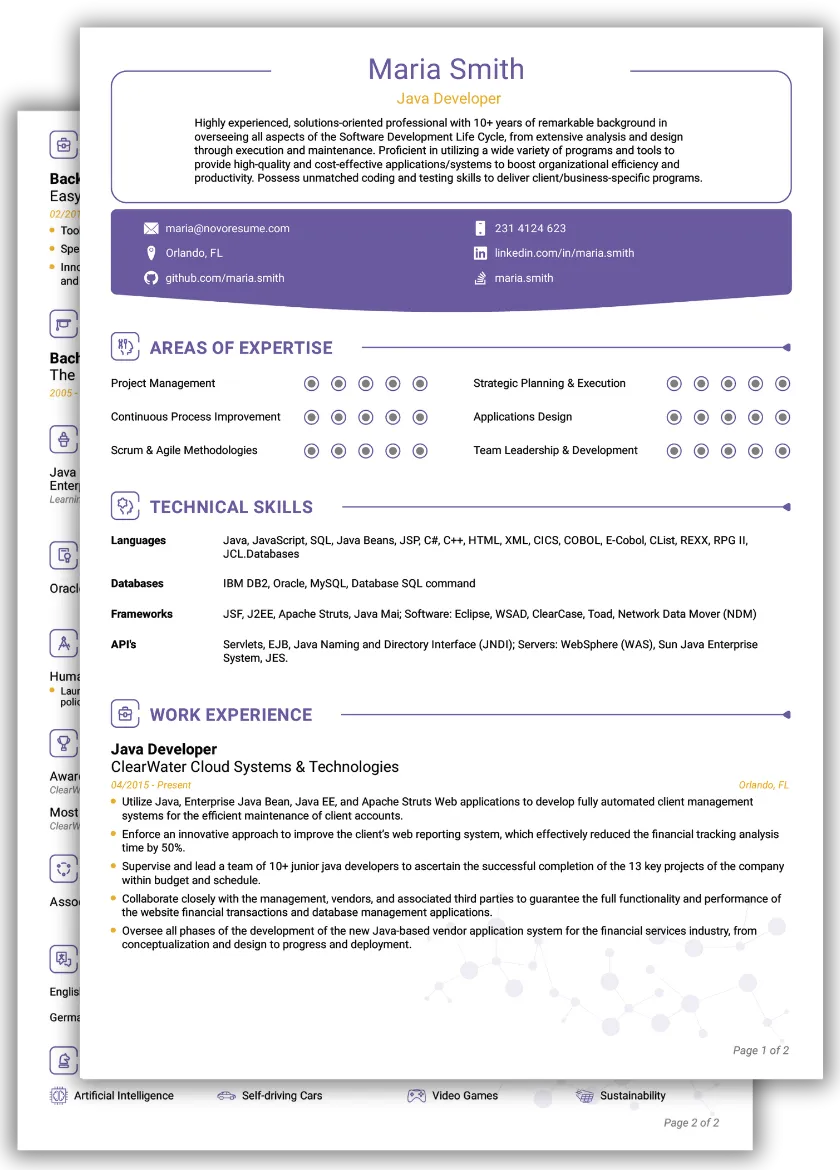Traditional CV Template